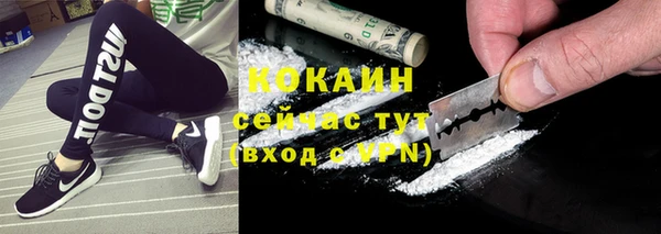 прущие крисы Магадан