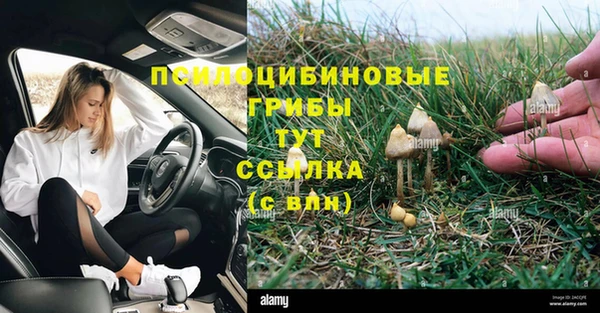 прущие крисы Магадан