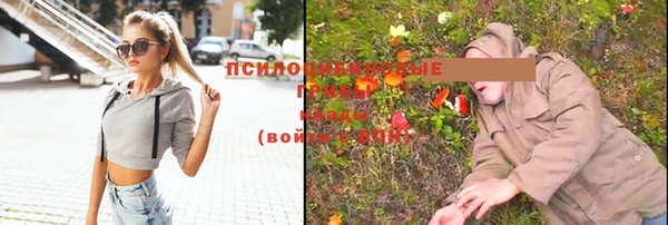 дурь Майский