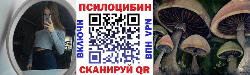 Купить где  Южноуральск  Галлюциногенные грибы Magic Shrooms 